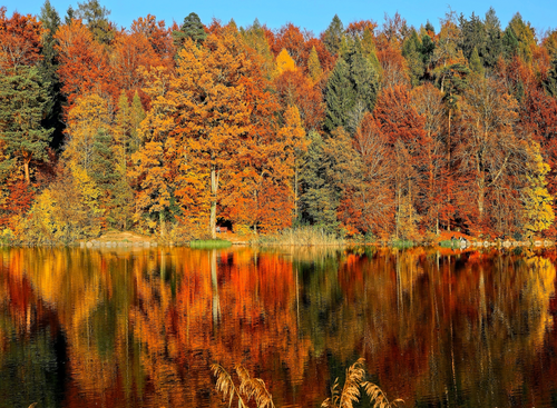 Begrüßen Sie den Herbst