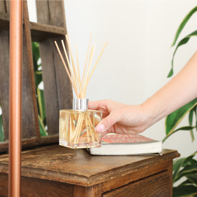 Oil Reed Diffuser | Blush