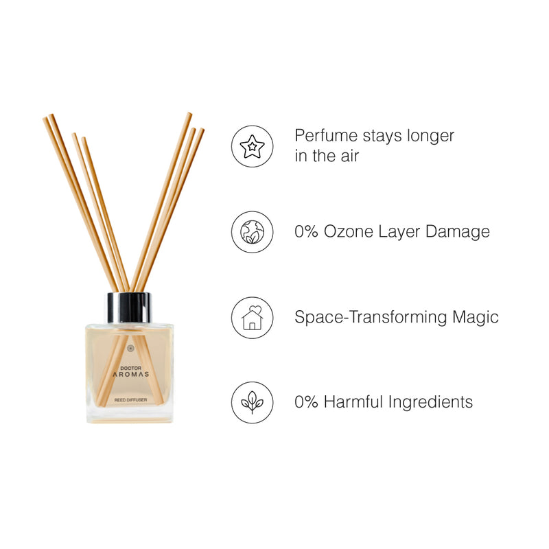 Oil Reed Diffuser Twin Pack | Holiday