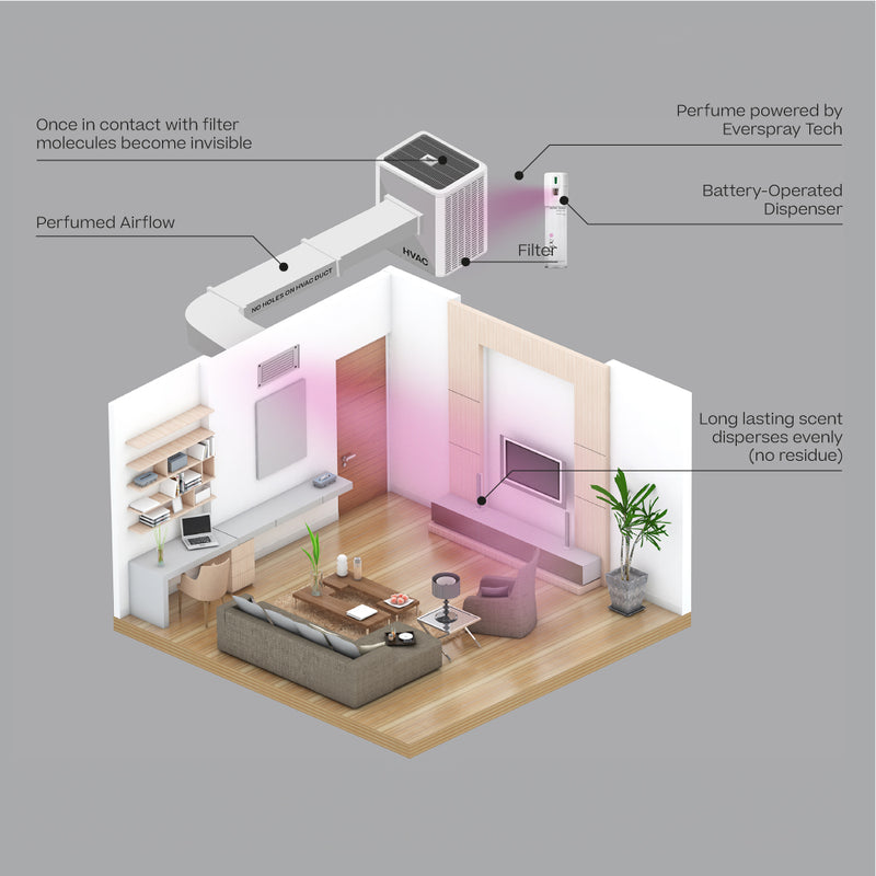 A/C Scenting System | Blush