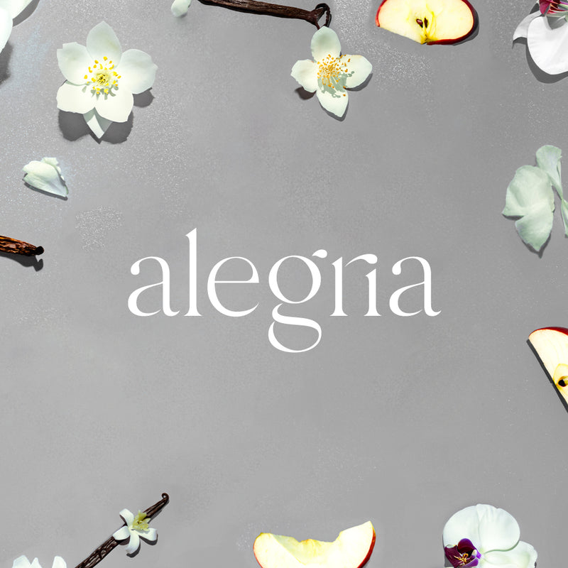 Aromatherapy Stone Diffuser | Alegria