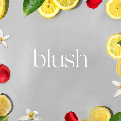 Plug-In Diffuser | Blush