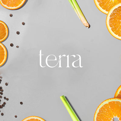 Plug-In Diffusor | Terra 